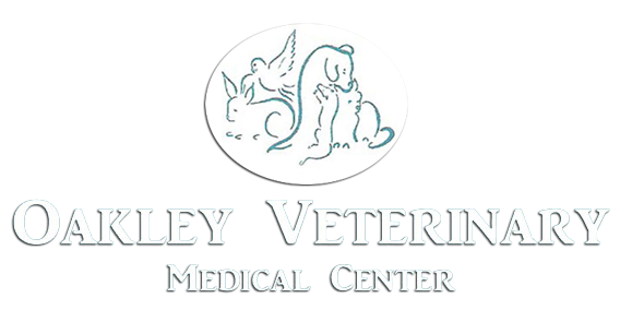 Descubrir 69+ imagen oakley veterinary medical center
